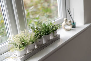 Photo 22- click for photo gallery